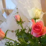 Mitschighof - Und - Heidis-welt, Mitschig Apartamento