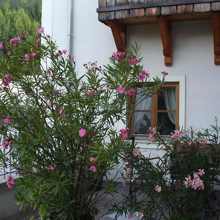Mitschighof - Apartments Und Zimmer - Heidis-Welt, Mitschig *