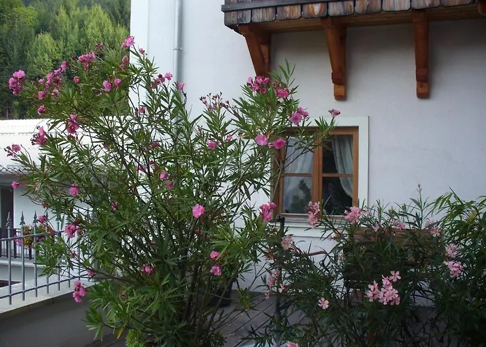 Mitschighof - Und - Heidis-welt, Mitschig *