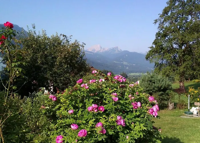 Mitschighof - Und - Heidis-welt, Mitschig Apartment *